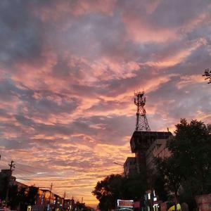 日本综合性色网站
