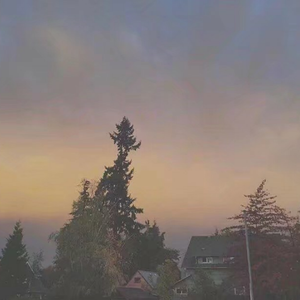 日本综合性色网站
