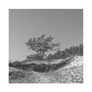 日本综合性色网站
